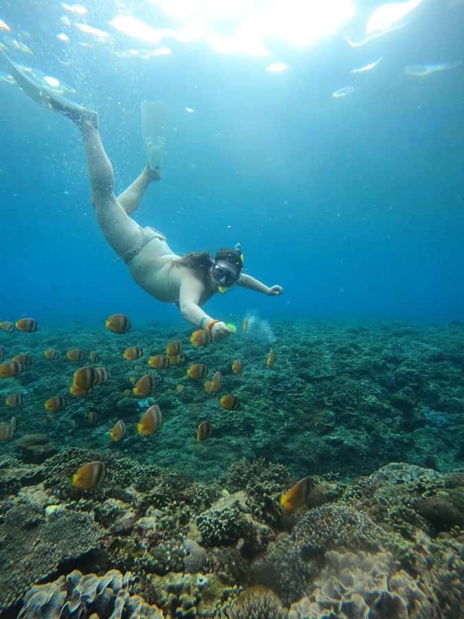 From Lembongan: Nusa Penida Private Snorkeling Tour - The Wall snorkeling spot: finishing with purpose