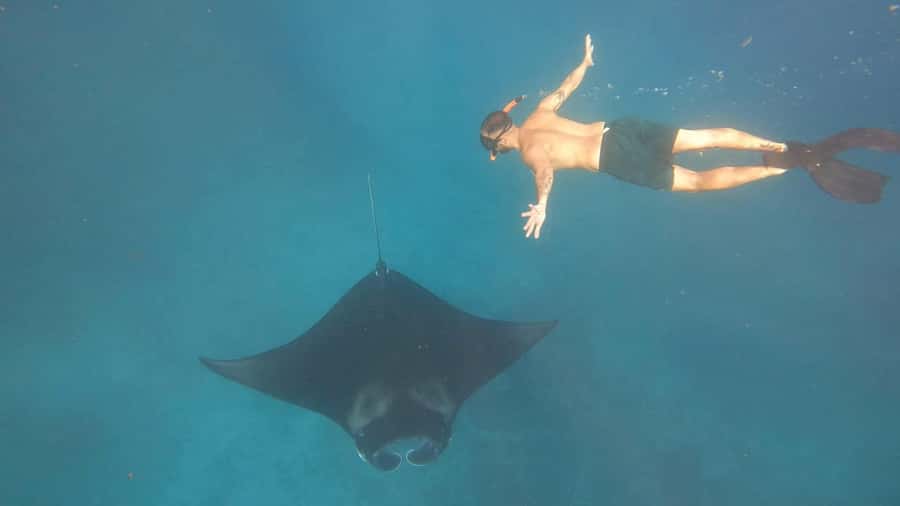 From Lembongan: Nusa Penida Private Snorkeling Tour - Safety, guide support, and the gear side of the trip