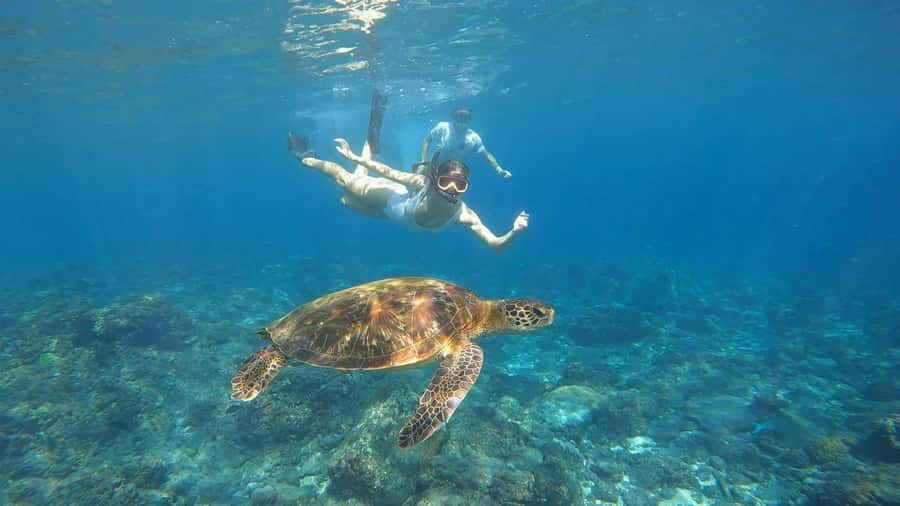 From Lembongan: Nusa Penida Private Snorkeling Tour - Price and value: what $78 per person gets you