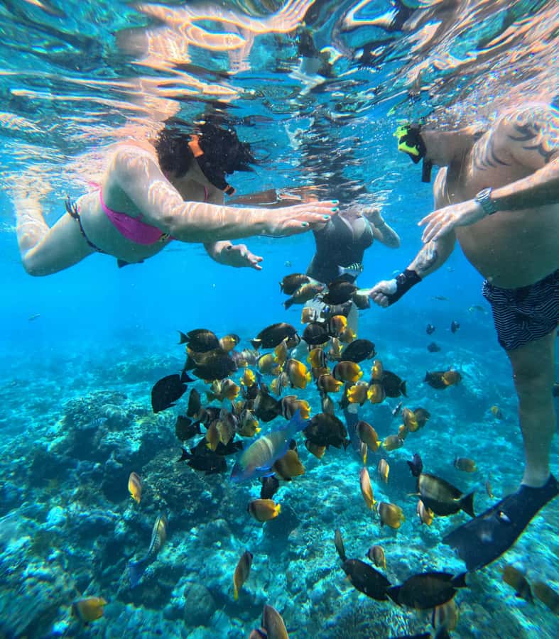 From Lembongan: Nusa Penida Private Snorkeling & West Tour - Who This Tour Suits Best (And Who Should Skip It)
