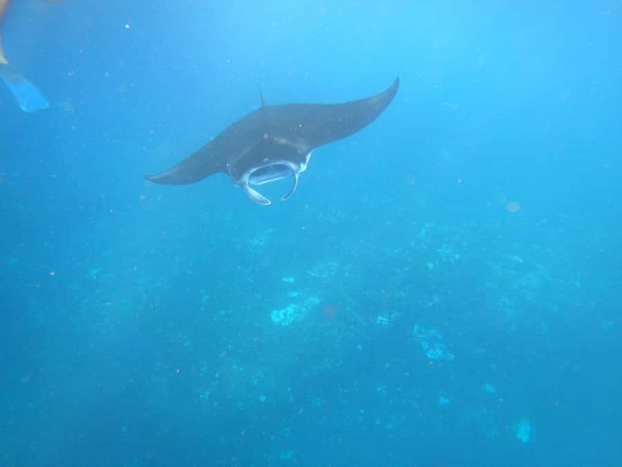 From Lembongan: Nusa Penida Private Snorkeling & West Tour - Angel’s Billabong: The Infinity-Pool Feel (Without Expecting Swim Time)