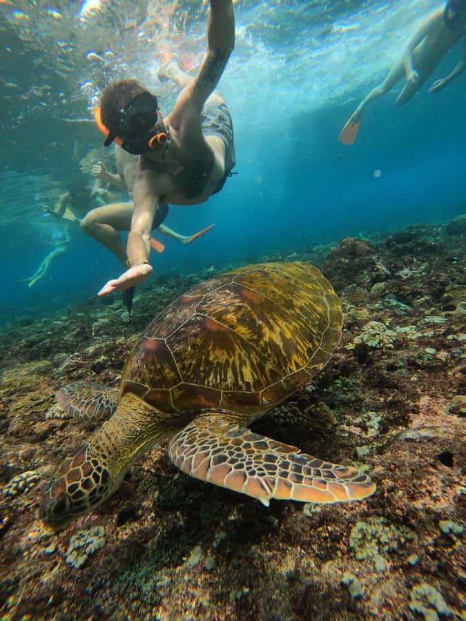From Lembongan: Nusa Penida Private Snorkeling & West Tour - Timing and Lunch: How the Day Stays Mostly Under Control