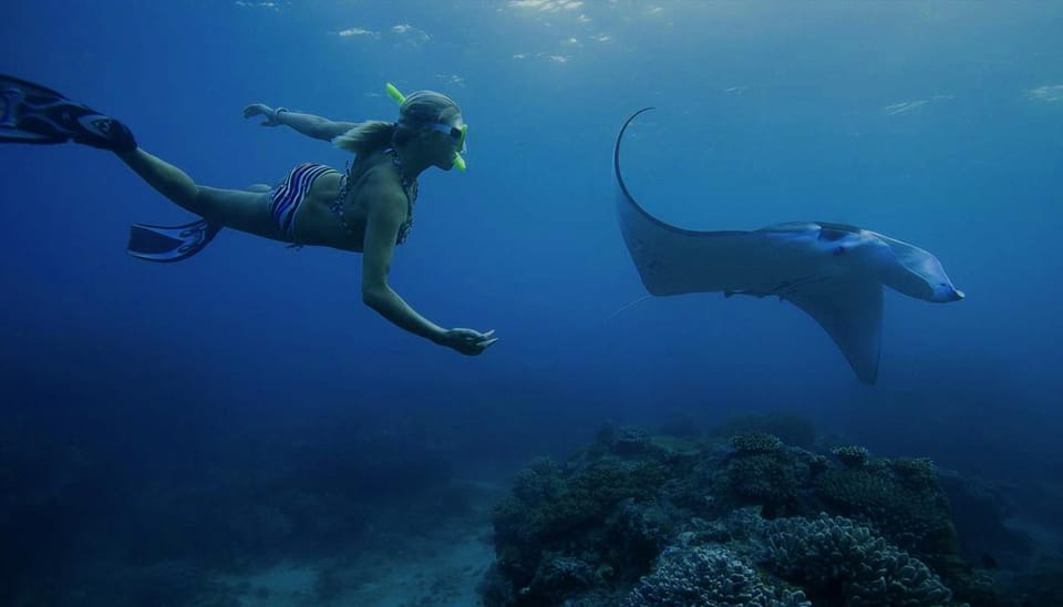 From Lembongan: Nusa Penida Private Snorkeling & West Tour - Price and Value: Is $106 Reasonable for This Mix?