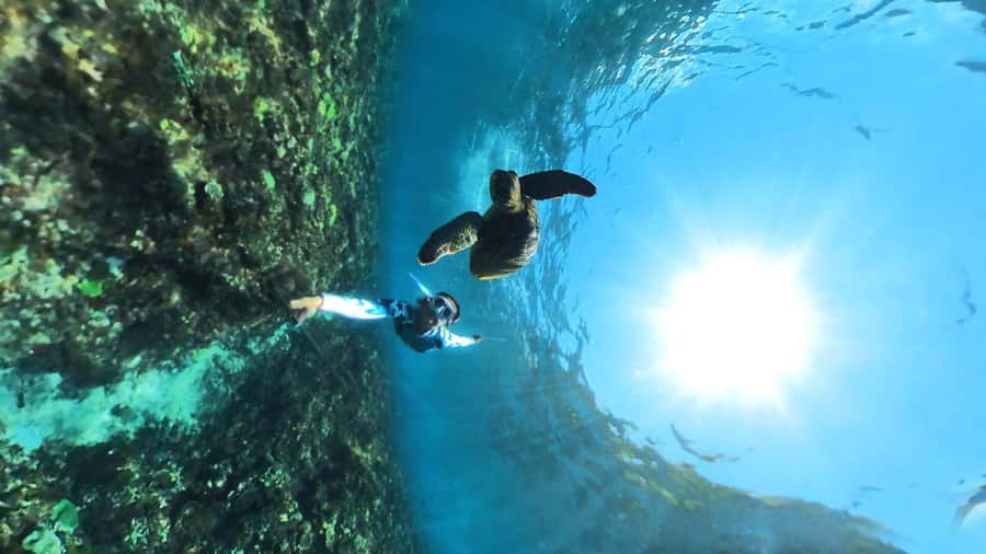From Lembongan: Nusa Penida Snorkeling Day Trip - Getting from Lembongan (and Ceningan) to the Boat Without Stress