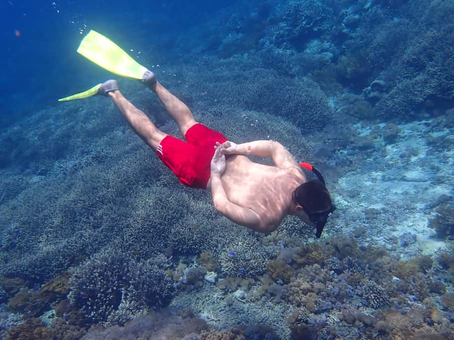 From Lembongan: Nusa Penida Snorkeling Day Trip - Two More Snorkel Stops: More Chances at Turtles, Fish, and Coral