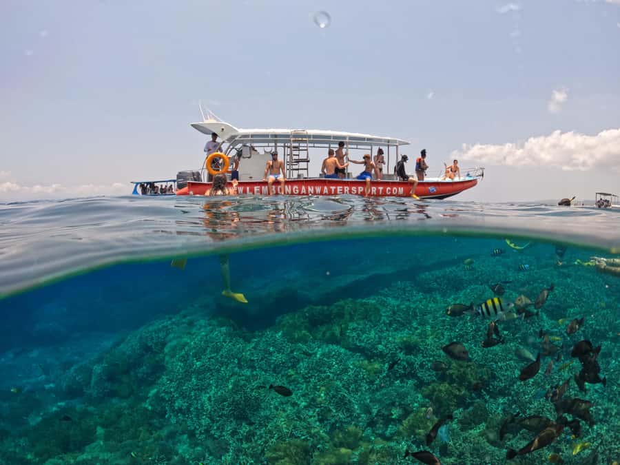From Lembongan: Nusa Penida Snorkeling Day Trip - Who This Tour Suits Best (And Who Should Skip It)