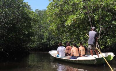 From Lembongan: Snorkeling 3 Spots, Mangrove and Land Tour - Crystal Bay and Gamat Bay: Coral, Calm Water, and Sea Turtle Possibilities