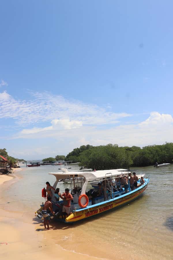 From Lembongan: Snorkeling 3 Spots, Mangrove and Land Tour - Should You Book the Snorkeling 3 Spots and Mangrove Land Tour?