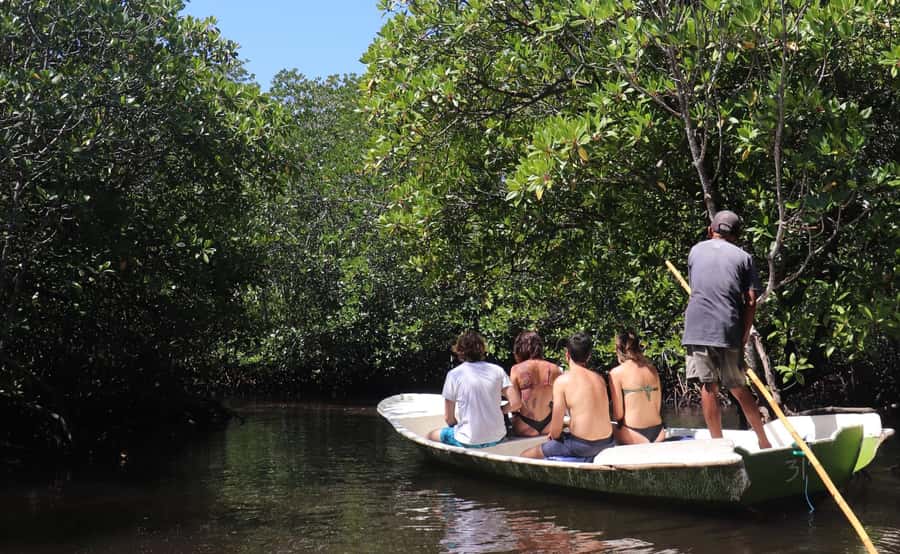 From Lembongan: Snorkeling 3 Spots, Mangrove and Land Tour - Crystal Bay and Gamat Bay: Coral, Calm Water, and Sea Turtle Possibilities