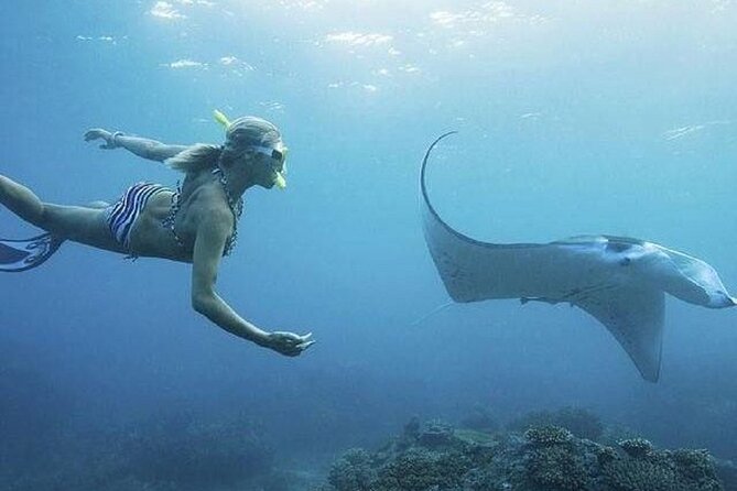 From Lembongan: Snorkeling Day Trip to Nusa Lembongan & nusa Penida island - Key Things to Know Before You Go