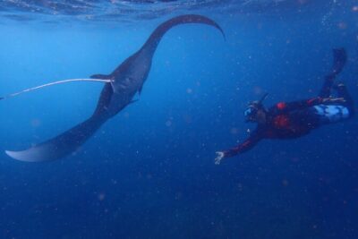 From Lembongan: Snorkeling Day Trip to Nusa Lembongan & nusa Penida island - Stop 1: Jungut Batu Beach Reef Time (What You’re Actually Doing)
