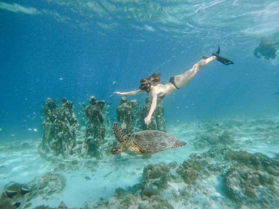 From Lombok: 3 Gili Islands Private Snorkeling Adventure - Gili Air Reef Snorkeling + Island Time You Can Actually Use