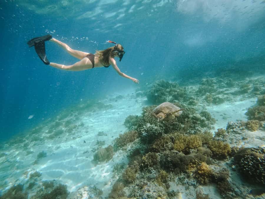 From Lombok: 3 Gili Islands Private Snorkeling Adventure - Gili Trawangan Turtle Point: Your Best Shot at Turtles