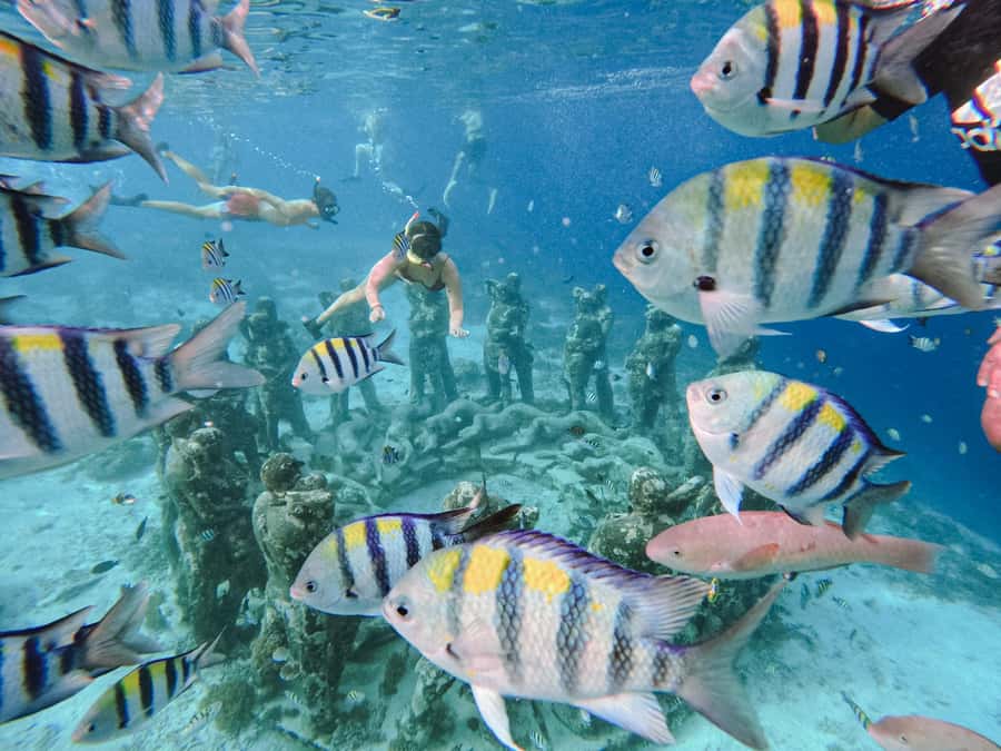 From Lombok: 3 Gili Islands Private Snorkeling Adventure - GoPro Footage via Google Drive: Great Memories, One Style to Know