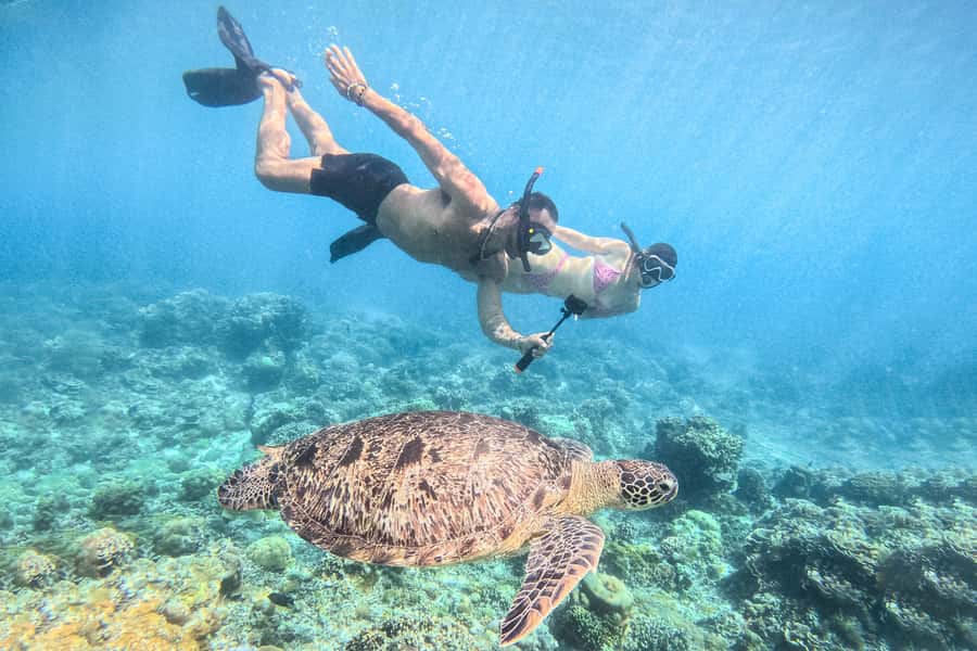 From Lombok: Full-Day Gili Gede, Rengit, & Layar Island Tour - Key things that make this tour worth your time