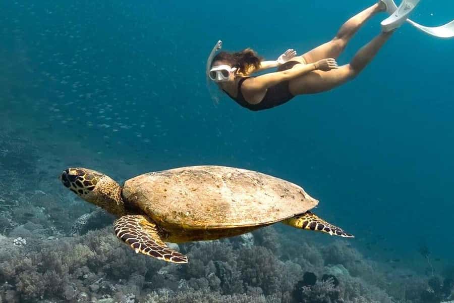 From Lombok: Full-Day Gili Gede, Rengit, & Layar Island Tour - Gili Layar: swimming, snorkel, lunch, and Mount Rinjani in the distance
