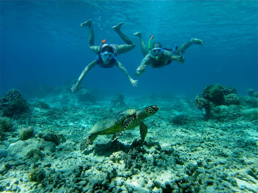 From Lombok: Gili Islands Snorkeling Day Trip - Gili Trawangan: short island walk, then turtle reef time