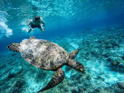 From Lombok: Gili Islands Snorkeling Day Trip - Nipah Beach to Gili Trawangan: meet-up, boat ride, and Lombok Strait views