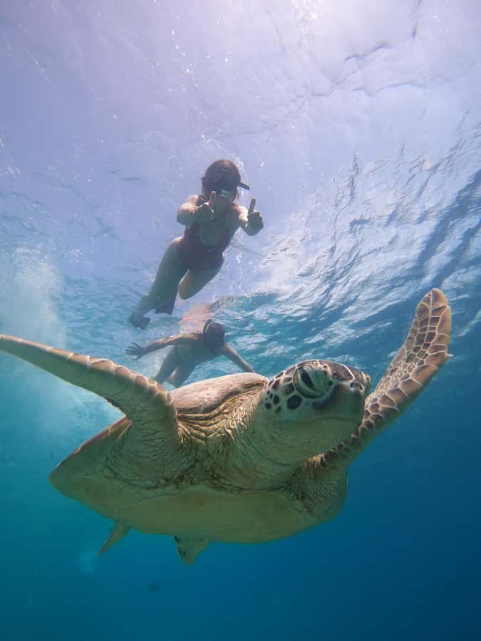 From Lombok: Gili Islands Snorkeling Day Trip - Gili Meno: the calm break, lunch on the beach, and underwater sculptures