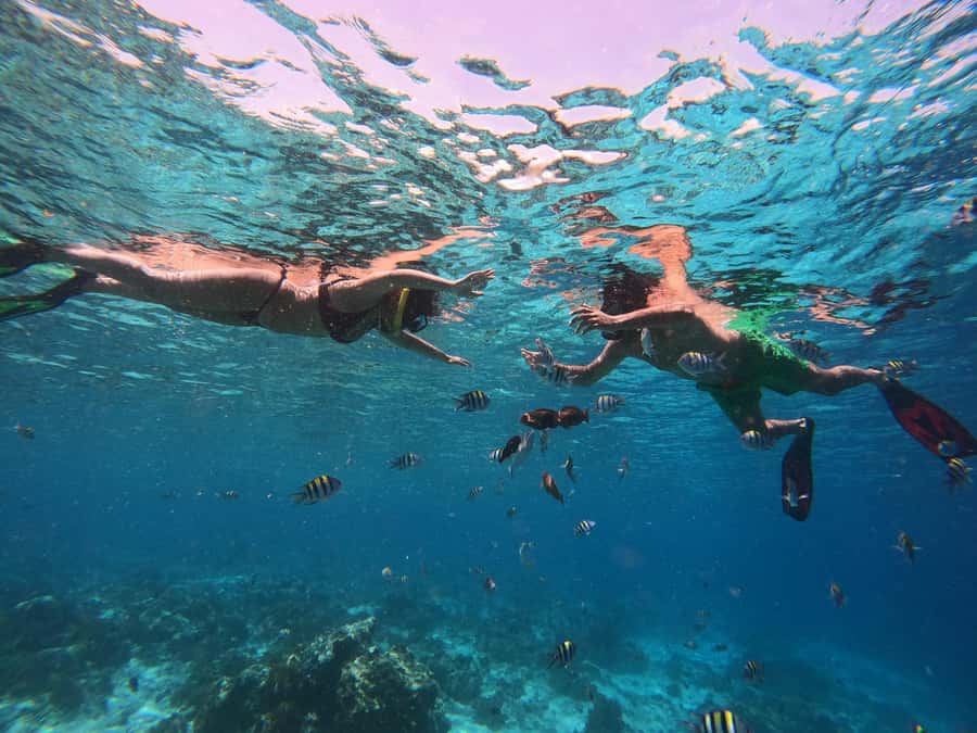 From Lombok: Gili Islands Snorkeling Day Trip - What you’re really paying for: gear, guides, and safety in the water