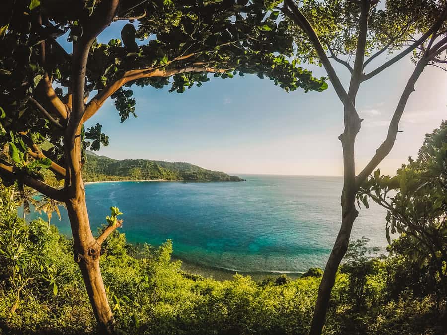 From Lombok: Private Gili Islands Trip w. Glass-Bottom Boat - Gili Meno: turtle sanctuary + The Nest underwater statues