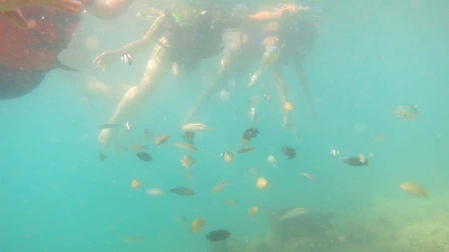 From Lombok: Southern Gilis Private Snorkelling Day Trip - Key points worth knowing before you go