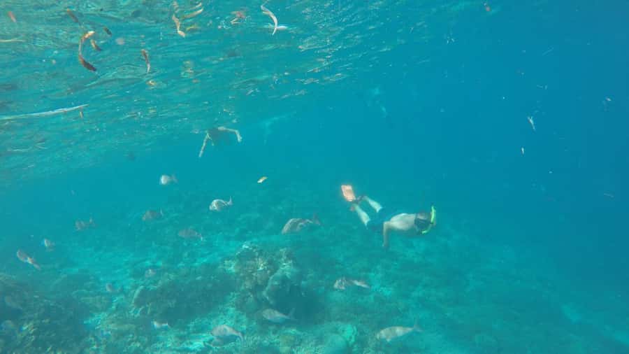 From Lombok: Southern Gilis Private Snorkelling Day Trip - The private South Gilis circuit from Lombok
