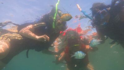 From Lombok: Southern Gilis Private Snorkelling Day Trip - Pickup, AC coach, and the Banyumulek pottery break