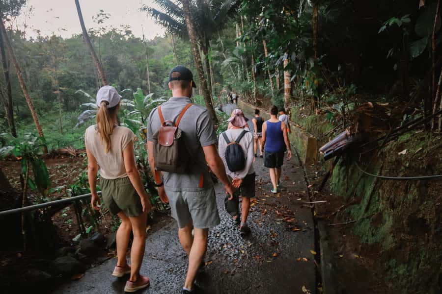 From Malang or Surabaya: Tumpak Sewu Waterfall Group Tour - The trekking reality: steep paths, uneven ground, and stream crossings