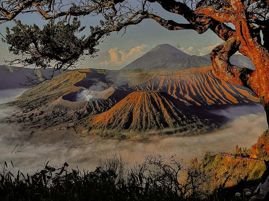From Malang: Shared Mount Bromo & Ijen Tours Start - 2D1N - Mount Bromo Sunrise: Jeep 4x4, Sea of Sand, and Crater Time
