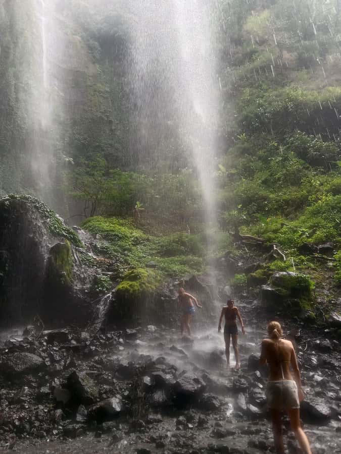 From Malang / Surabaya: Madakaripura Waterfall Guided Tour - Madakaripura Waterfall: Java’s Highest, Indonesia’s Second-Highest