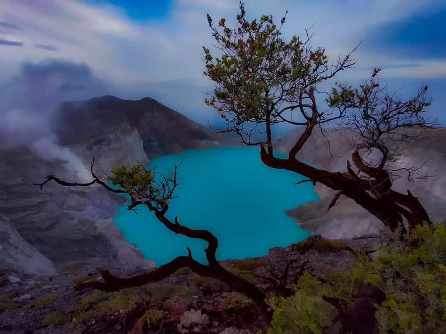 From Malang/Surabaya: Mount Bromo and Ijen Crater 2-Day Tour - How Day 1 Starts: 00:15 Pickup and the Long Roll Toward Bromo