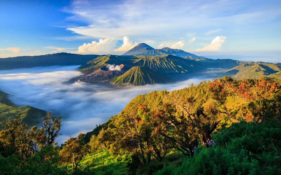 From Malang/Surabaya: Mount Bromo Sunrise or Sunset Tour - The Jeep Ride to Five Spots: How You Get the Best Bromo Angles