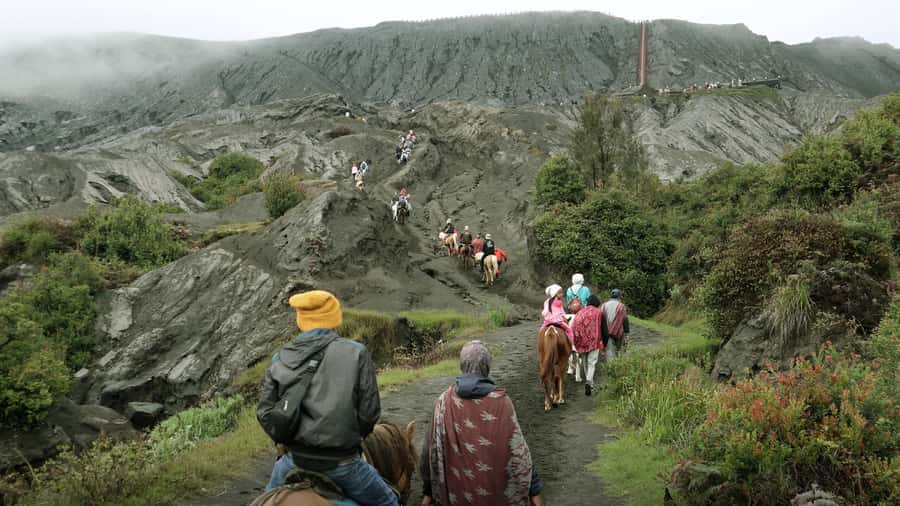 From Malang/Surabaya: Mount Bromo Sunrise Ultimate (Shared) - Bromo crater area and the optional 30-minute top climb