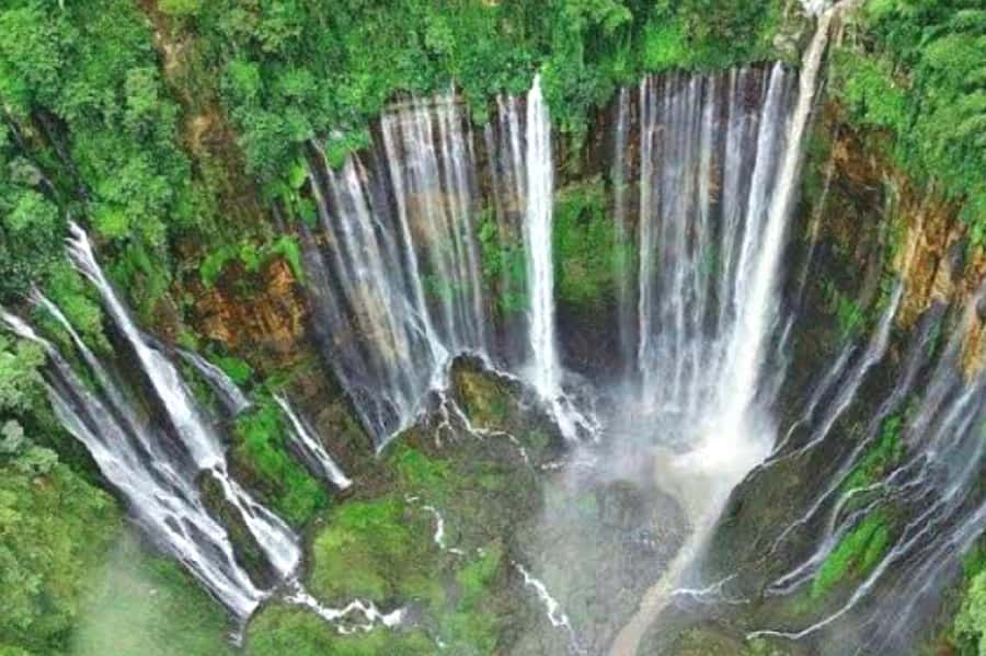 from malang : tumpak sewu waterfall with guide - Key things to know before you go