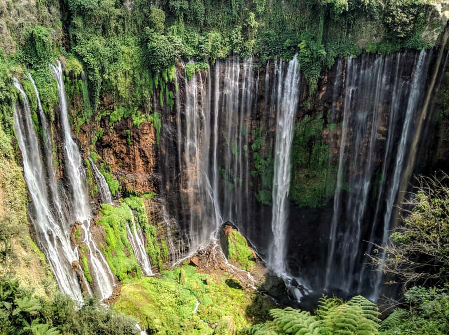 from malang : tumpak sewu waterfall with guide - From Malang to the Falls: the drive that shapes the whole day