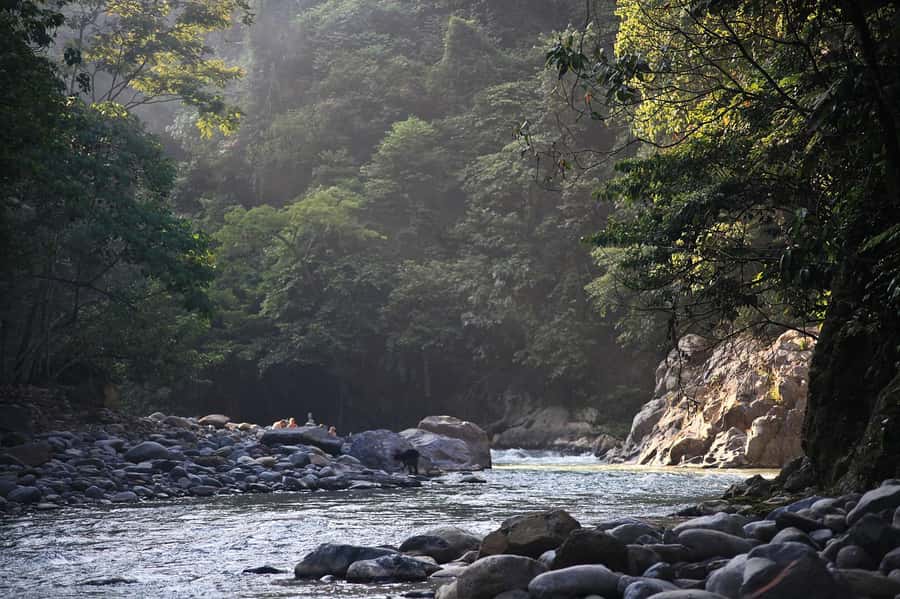 From Medan: Mount Leuser National Park Orang Utan Trip - Key highlights you’ll feel in your day