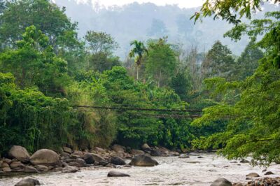 From Medan: Mount Leuser National Park Orang Utan Trip - Orangutan Care Center: the moment you’ll remember