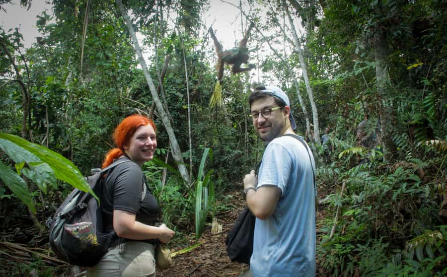 From Medan: Mount Leuser National Park Orang Utan Trip - Transportation and timing: why the long day is part of the value