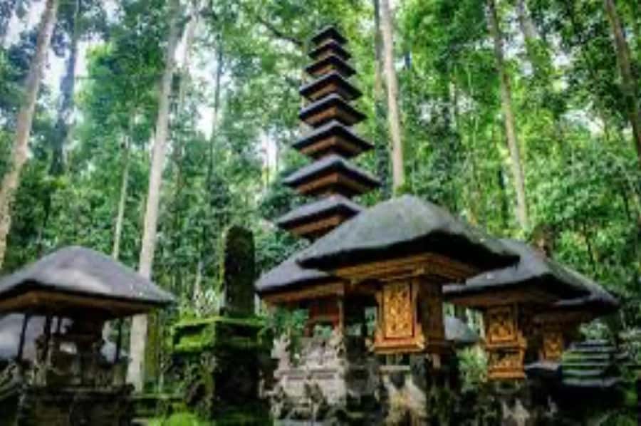 From north bali :Tanah Lot, sangeh forest & Ulun Danu Temple - Sangeh Monkey Forest: Sacred Monkeys and the Story Behind the Name