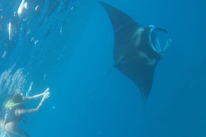 From Nusa Lembongan Manta Snorkeling Trips with Pickup Included - Key things to know before you go