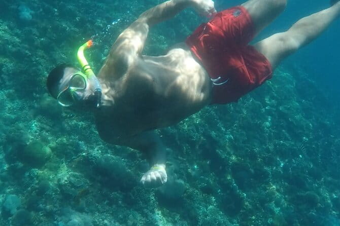 From Nusa Lembongan Manta Snorkeling Trips with Pickup Included - Why this 2-hour Nusa Lembongan plan feels like value