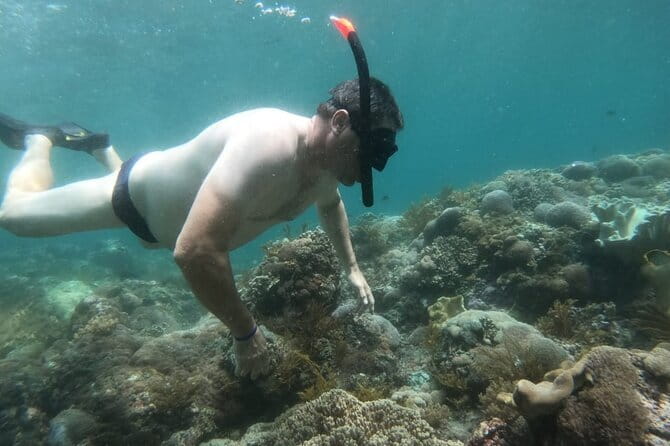 From Nusa Lembongan Manta Snorkeling Trips with Pickup Included - Gamat Bay: fish, turtle odds, and why the guide matters