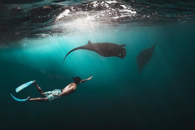 From Nusa Lembongan Manta Snorkeling Trips with Pickup Included - Photos, drinks, and the small comforts that prevent a rough day