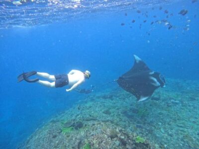 From Nusa Penida: 3 Spots Snorkeling Tour with Manta Rays - Manta ray snorkeling: how the crew works Manta Bay and Manta Point