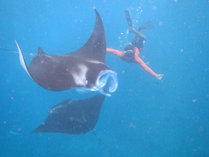 From Nusa Penida: 3 Spots Snorkeling Tour with Manta Rays - Mesari Beach Restaurant lunch: the break that matters
