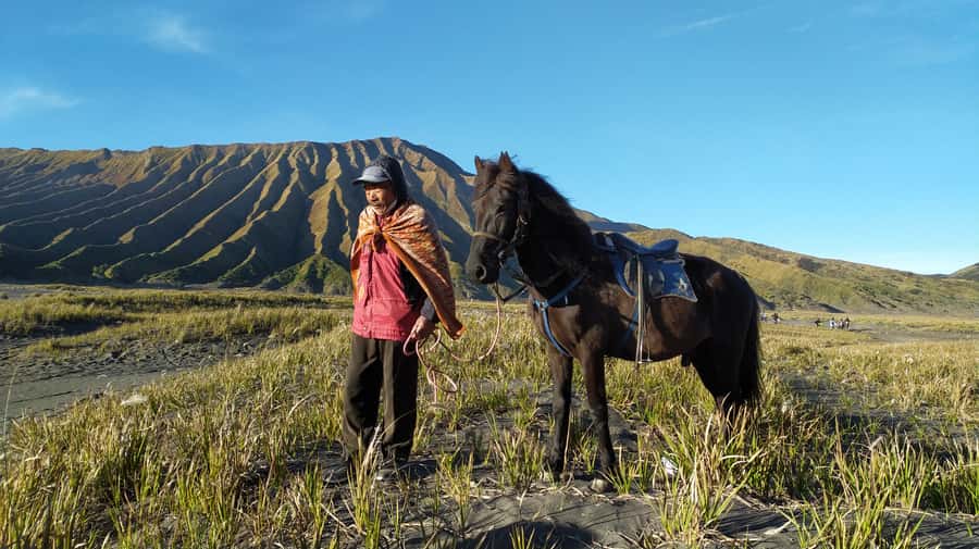 From Probolinggo: Mount Bromo Sunset Tour by Land Cruiser - What You Get for $104: Real Value Breakdown