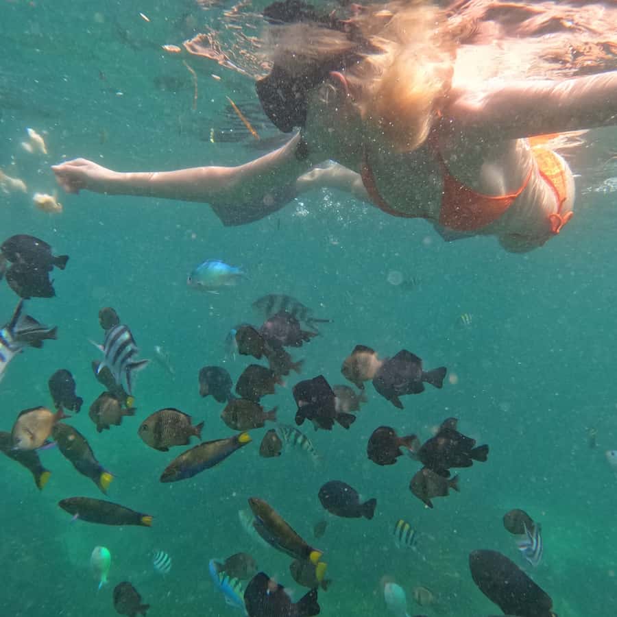 From Sanur : Snorkeling and Land Excursion at Nusa Penida - Sanur to Nusa Penida: the fast boat beat