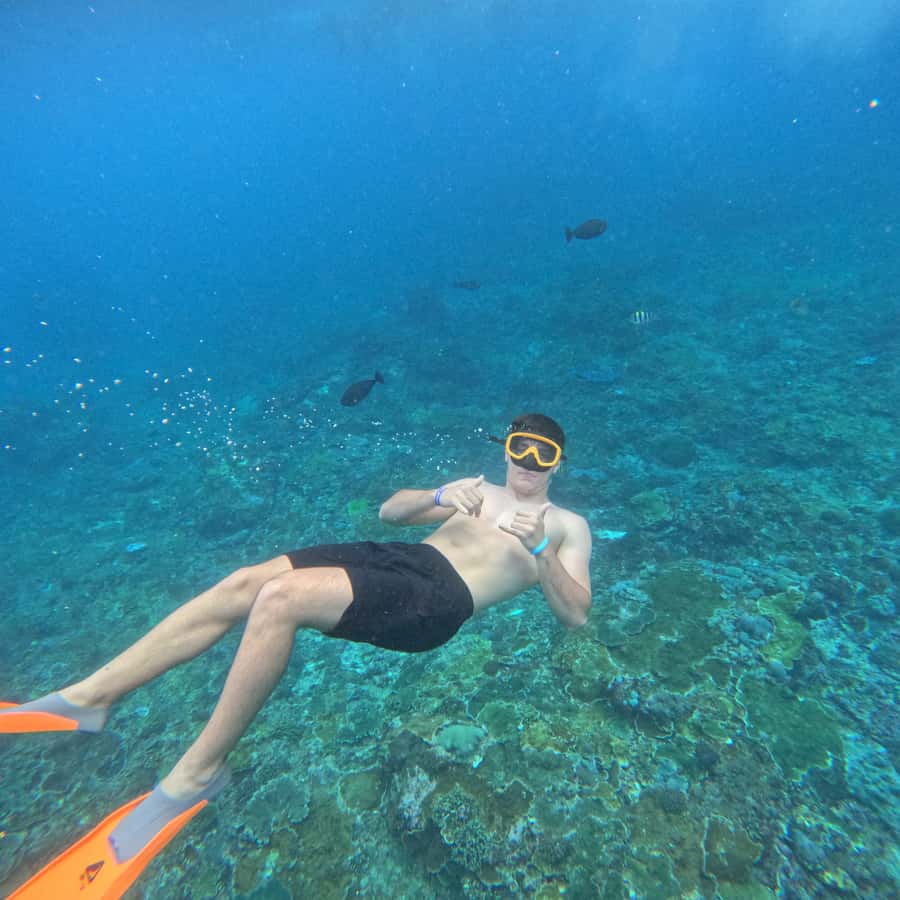 From Sanur : Snorkeling and Land Excursion at Nusa Penida - Lunch at Toya Pakeh Harbour: refuel before the viewpoints