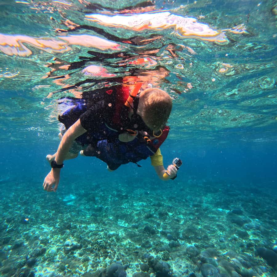 From Sanur : Snorkeling and Land Excursion at Nusa Penida - Kelingking Beach: the T-Rex cliff from the viewpoint
